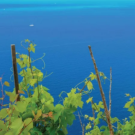 One-bedroom In Hodilje Lägenhet